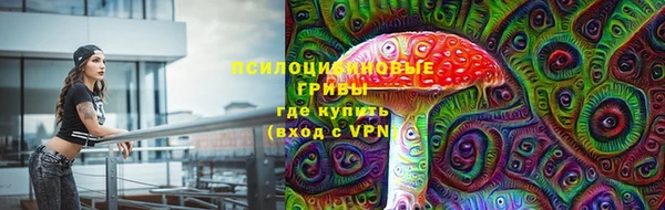 твердый Армянск